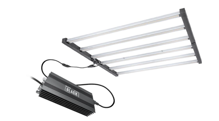 Indoor Growing with the Lumii Black 720w LED Grow Light