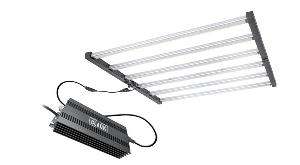 Indoor Growing with the Lumii Black 720w LED Grow Light